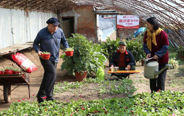 乡村爱情10:乡村爱情第十部还出不出、上映时间揭晓