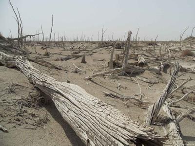 罗布泊双鱼玉佩事件：揭震惊中外的罗布泊双鱼玉佩事件