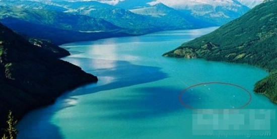 尼斯湖连体水怪上岸遭捕鱼人射杀