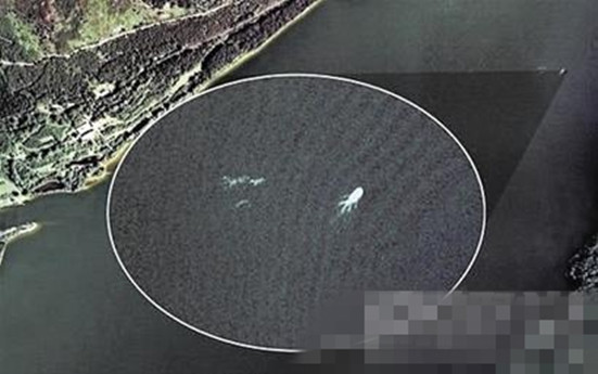 尼斯湖连体水怪上岸遭捕鱼人射杀