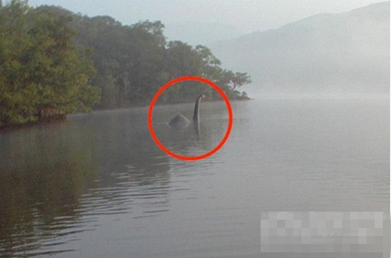 尼斯湖连体水怪上岸遭捕鱼人射杀