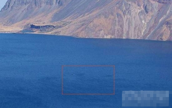 尼斯湖连体水怪上岸遭捕鱼人射杀