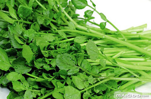 营养最丰富的蔬菜:营养最丰富的十大蔬菜健康养生