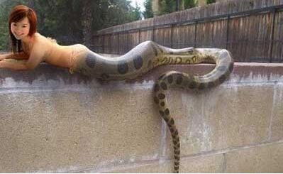 揭秘女娲后代为何都是人面蛇身 揭秘女娲后代为何都是人面蛇身