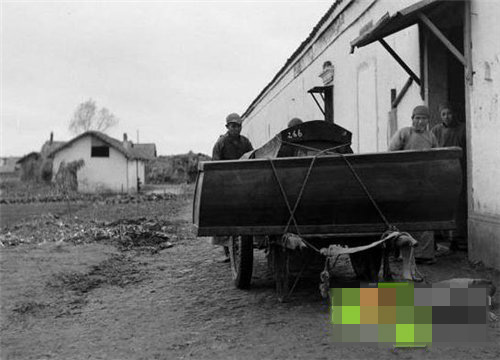 陕西挖出千年棺木 竟出现邪物虐杀村民（组图）