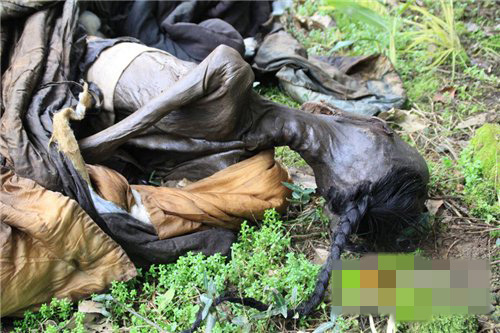 陕西挖出千年棺木 竟出现邪物虐杀村民(组图)