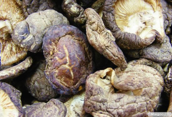 补气最快的食物有哪些：中医推崇的十大补气食物