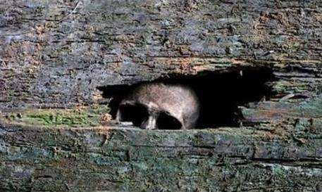 【灵异事件】农村遇到8大灵异事件疯传 你遇到过的没