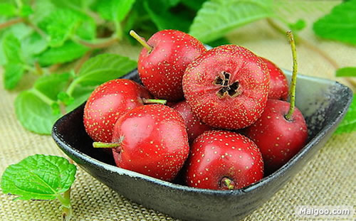 减肥刮油吃什么好:推荐夏日减肥必吃十大刮油圣品