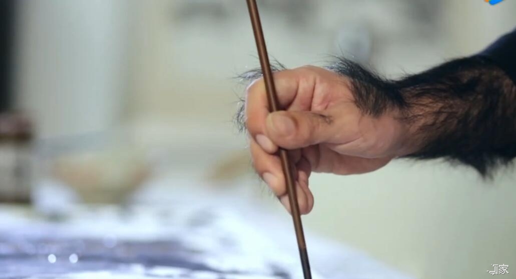 【中国第一毛孩】中国第一毛孩曾数度想自杀 如今能歌善舞