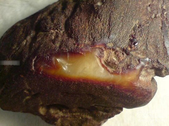 村民打水井挖到一石头！竟一夜暴富（组图）