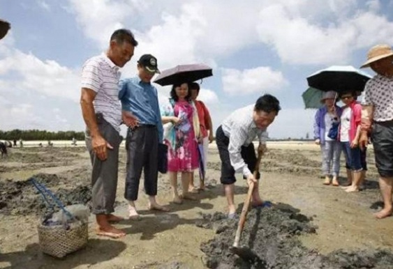 农妇泥地挖出怪虫 竟月赚5千!