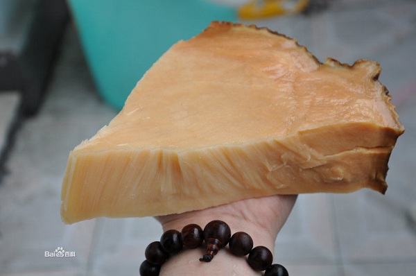 鱼塘里打捞出一物 竟价值千万！