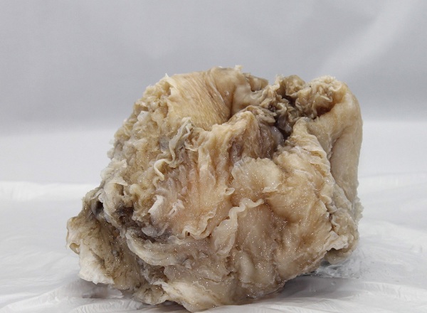 鱼塘里打捞出一物 竟价值千万！