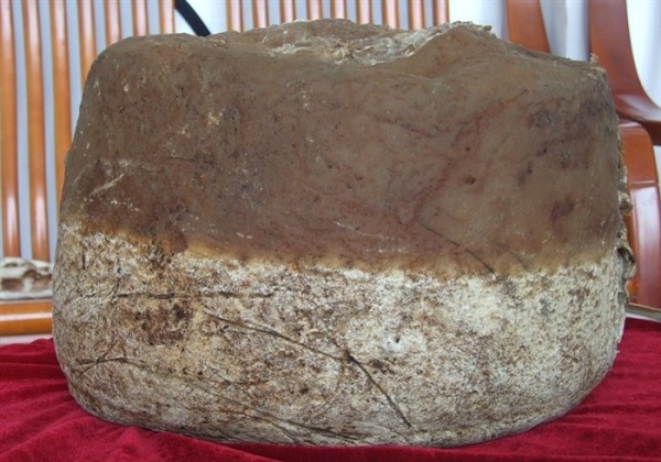 鱼塘里打捞出一物 竟价值千万！