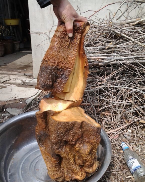 鱼塘里打捞出一物 竟价值千万！