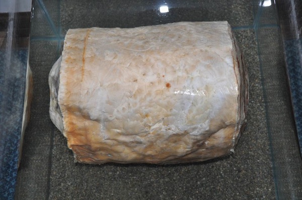 鱼塘里打捞出一物 竟价值千万！