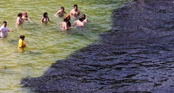 傻眼!海边游泳时惊现黑乎乎一片