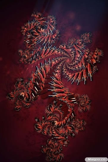 世界十大奢侈名酒：世界最贵的十大奢华名酒