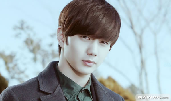 韩国男演员_韩国男艺人收入排名