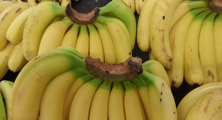 【女性美容养生】女性晚上吃5种食物美容效果最佳