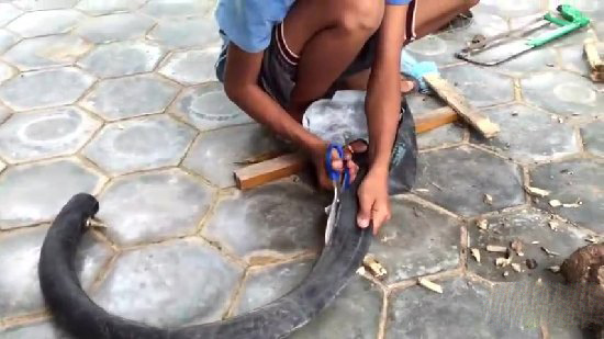 小孩自制捕鱼神器 竟意外捉到一大家伙（图）