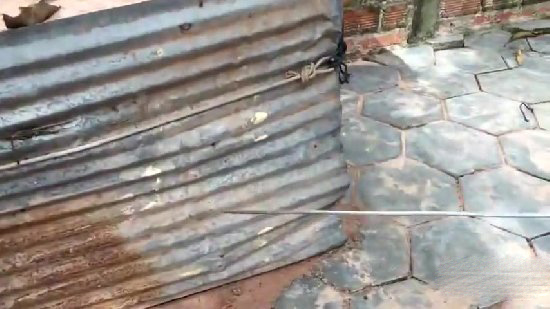 小孩自制捕鱼神器 竟意外捉到一大家伙（图）