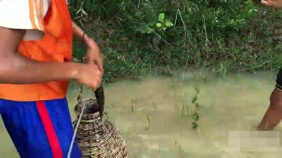 小孩自制捕鱼神器 竟意外捉到一大家伙（图）