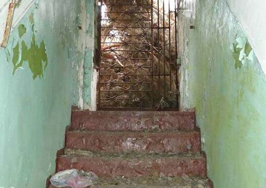 男子误入神秘工厂 一发现太疯狂（组图）