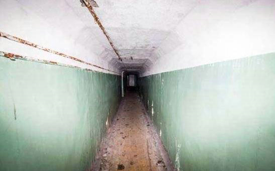 男子误入神秘工厂 一发现太疯狂（组图）