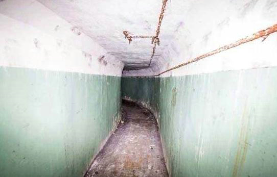 男子误入神秘工厂 一发现太疯狂（组图）