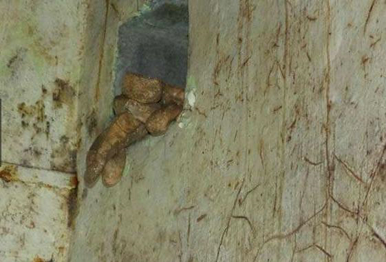 男子误入神秘工厂 一发现太疯狂（组图）