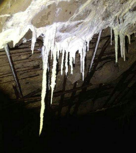 男子误入神秘工厂 一发现太疯狂（组图）