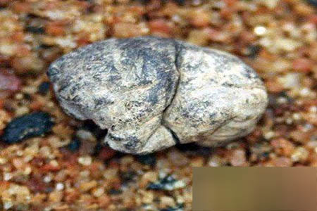 全球最逆天的20件古物：你见过哪一件（图）