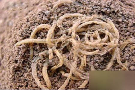 全球最逆天的20件古物：你见过哪一件（图）