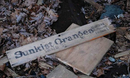 男子探险废弃小屋：实拍画面让众人惊讶（组图）