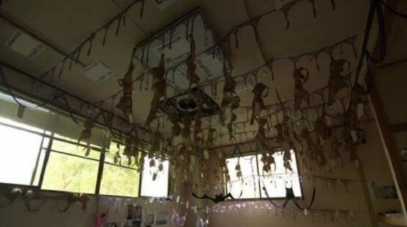 惊呆！日本一座废弃寺庙被挂满了内衣