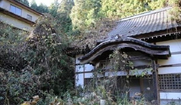 惊呆！日本一座废弃寺庙被挂满了内衣