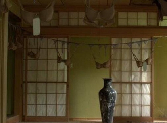 惊呆！日本一座废弃寺庙被挂满了内衣
