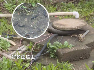 平时喝的桶装水竟从臭水沟取出：太吓人了（图）