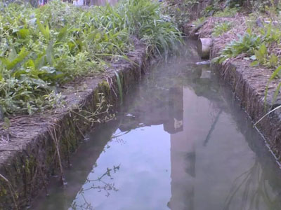 平时喝的桶装水竟从臭水沟取出：太吓人了（图）