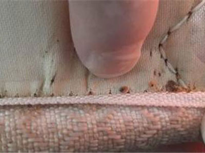 被窝这东西有多脏真相惊呆你 被窝这东西有多脏真相惊呆你