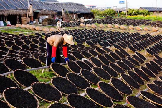 补钙的食物有哪些：10大最补钙的食物盘点（图）
