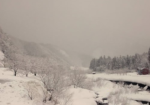 地球上最冷的地方：地球上十大极寒之地盘点（图）