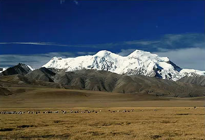 世界十大最美草原之最排名:让你眼前一亮(图) 世界十大最美草原之最排名:让你眼前一亮(图)