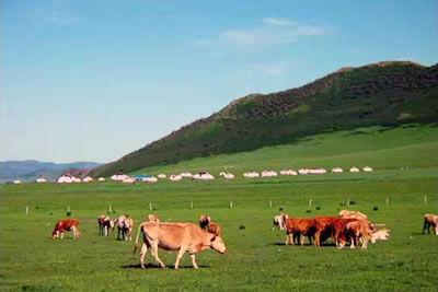 世界十大最美草原之最排名:让你眼前一亮(图) 世界十大最美草原之最排名:让你眼前一亮(图)