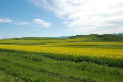 世界十大最美草原之最排名:让你眼前一亮(图) 世界十大最美草原之最排名:让你眼前一亮(图)