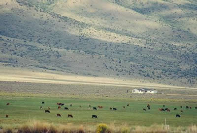 世界十大最美草原之最排名:让你眼前一亮(图) 世界十大最美草原之最排名:让你眼前一亮(图)