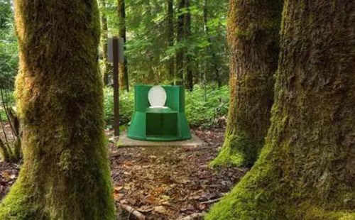 全球最任性的5个厕所：一定被吓尿了（图）