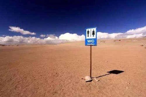 全球最任性的5个厕所：一定被吓尿了（图）